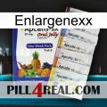 Enlargenexx 11